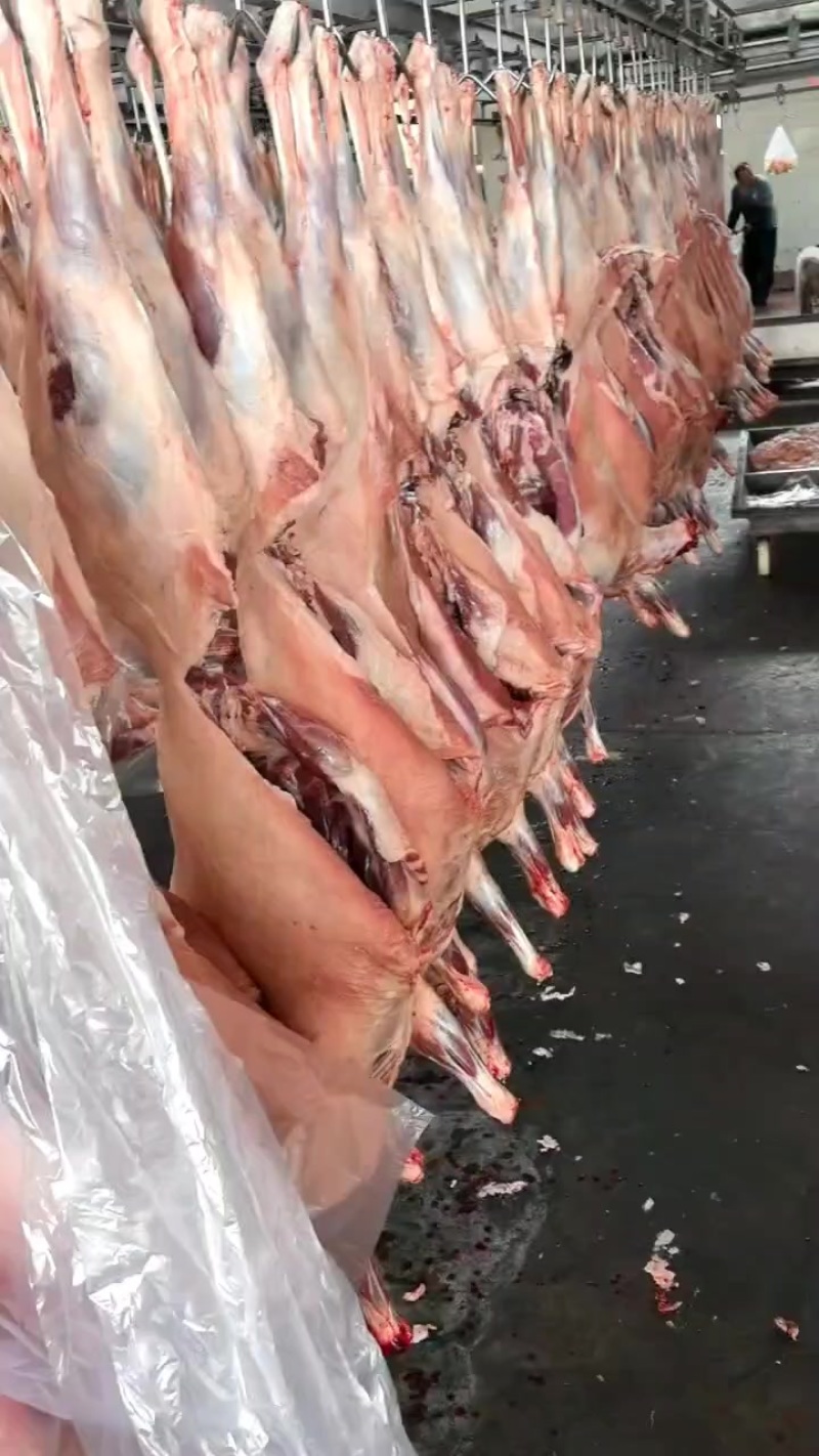 羊肉