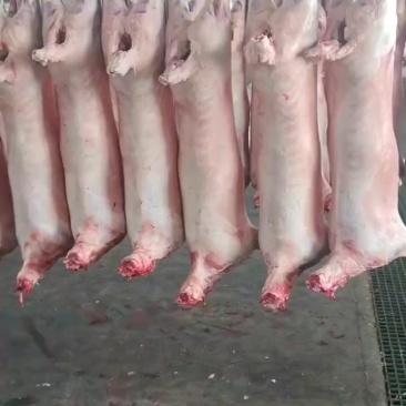 羊肉