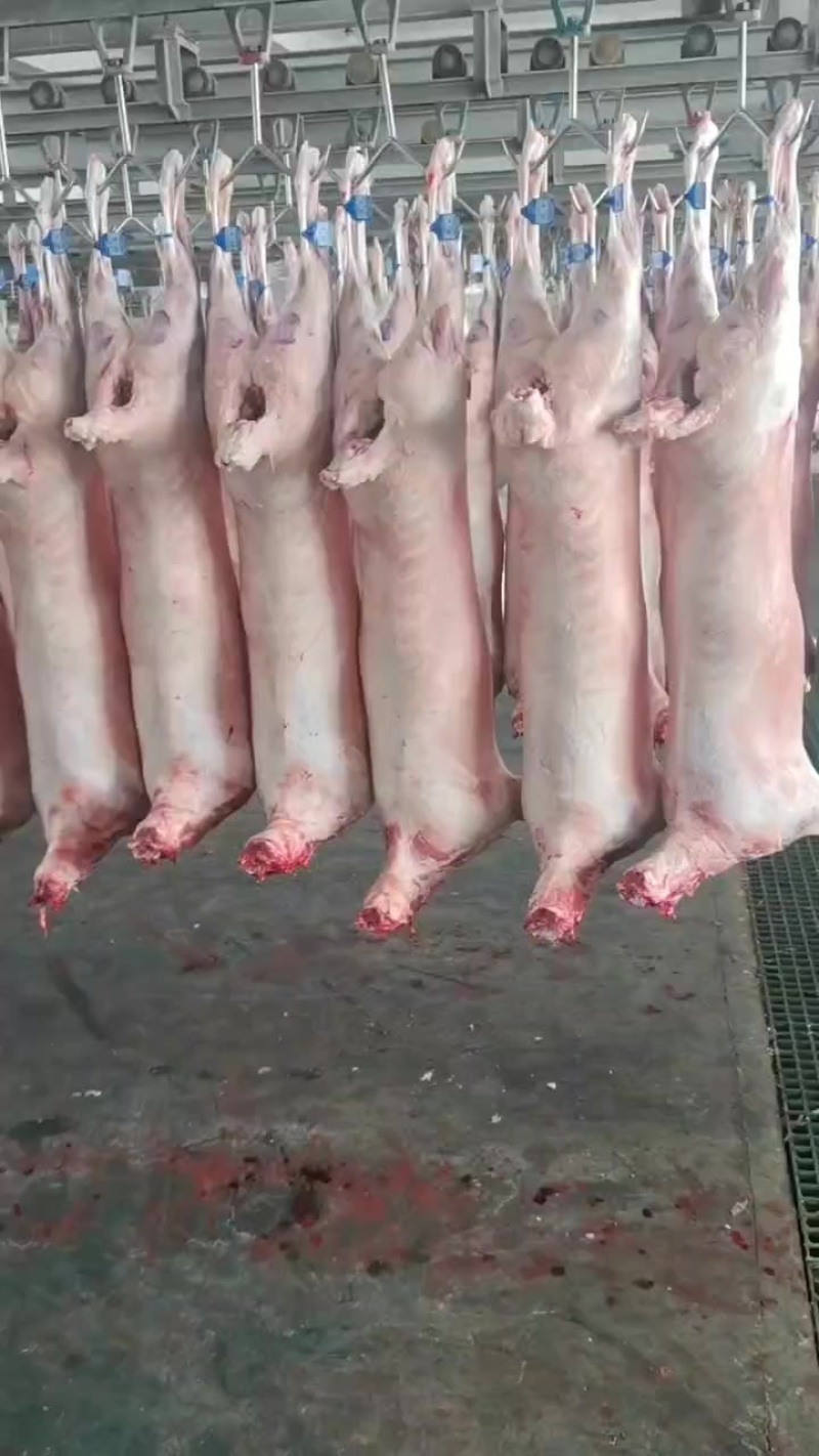 羊肉