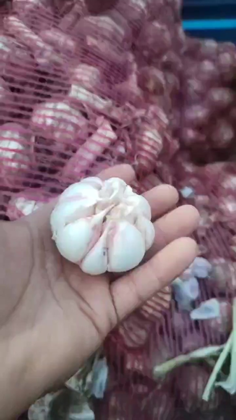 大蒜