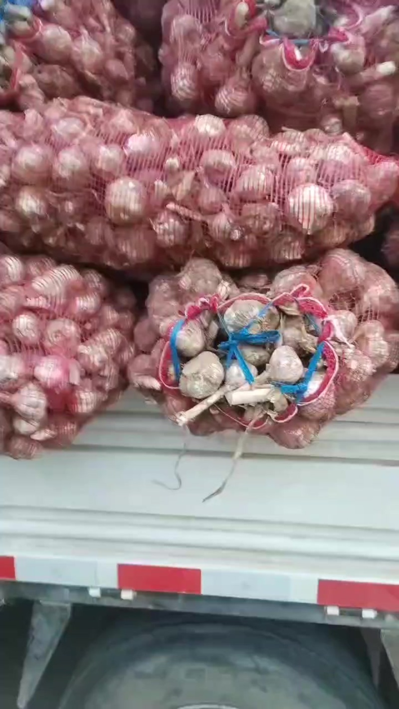 大蒜