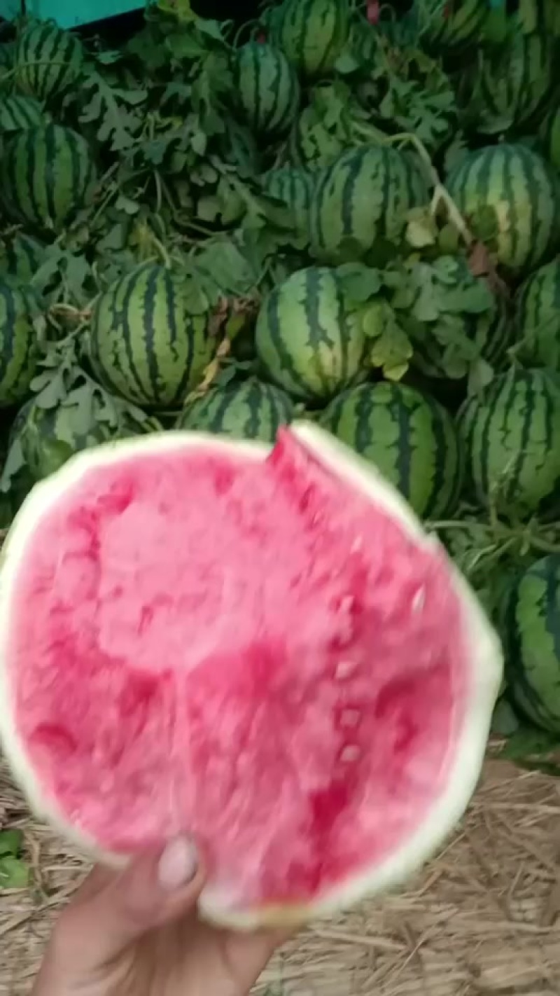 精品美都