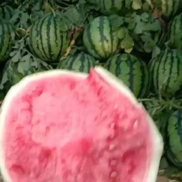 精品美都