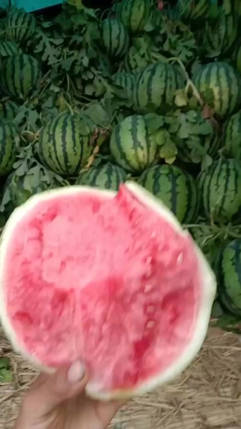 精品美都