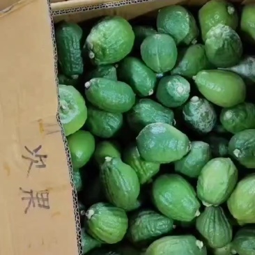 广东香水柠檬，次果，次果，次果，需要榨汁切片的联系