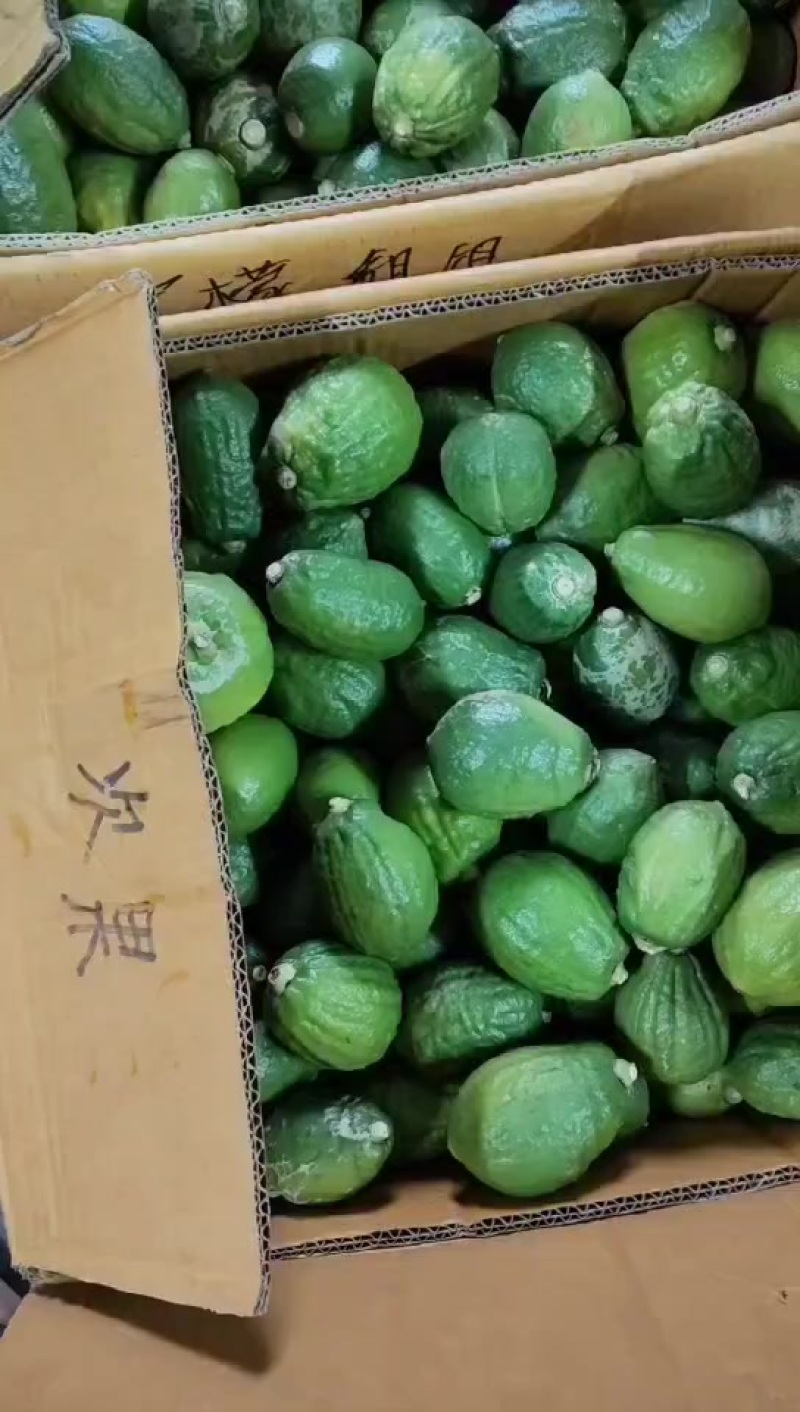 广东香水柠檬，次果，次果，次果，需要榨汁切片的联系