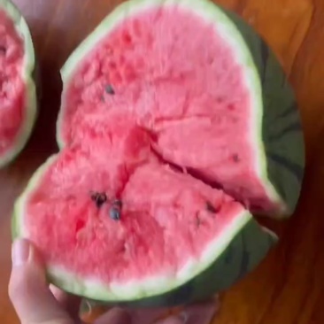 古马麒麟吊瓜