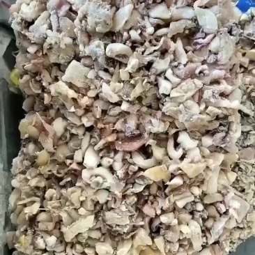 出售鱿鱼边角料30吨，在威海