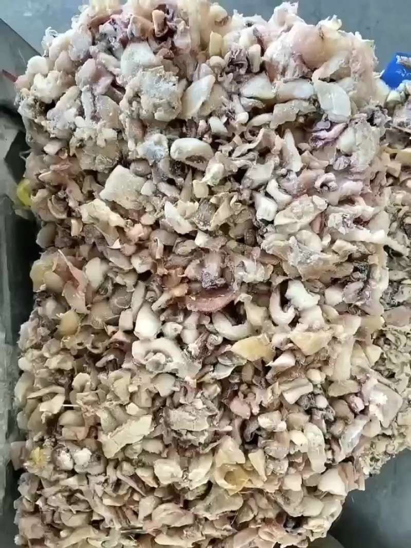出售鱿鱼边角料30吨，在威海
