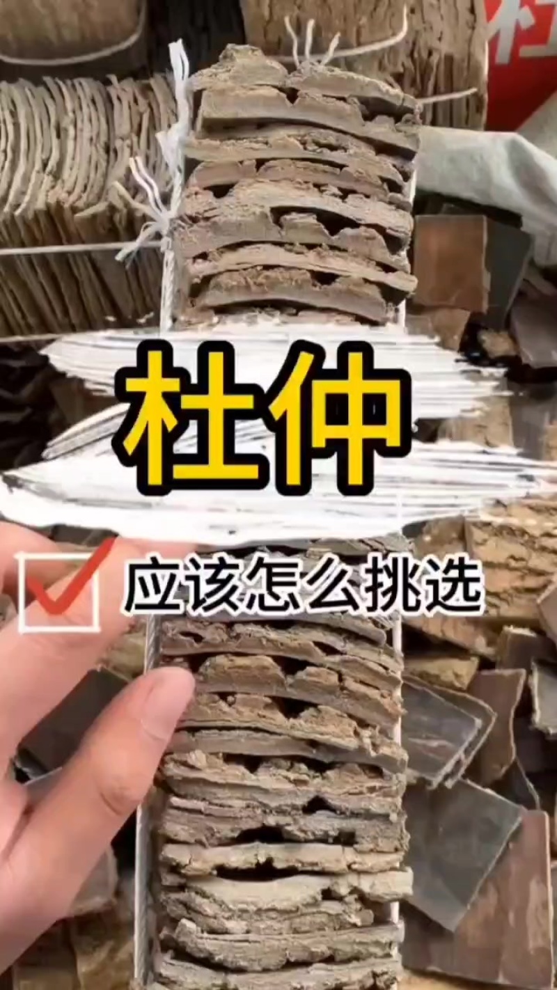 杜仲皮