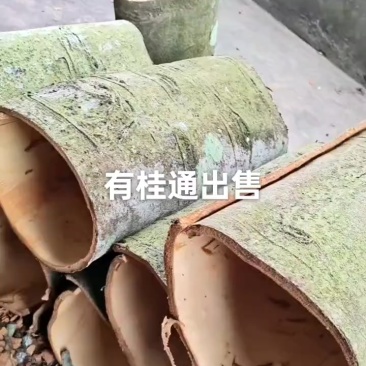 批发老树玉桂皮，农村人价钱实在，有想法的价钱好说，