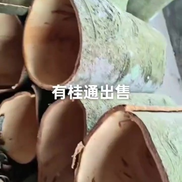 肉桂皮产地直销