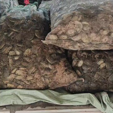 保质保量欢迎各位老板与我联系