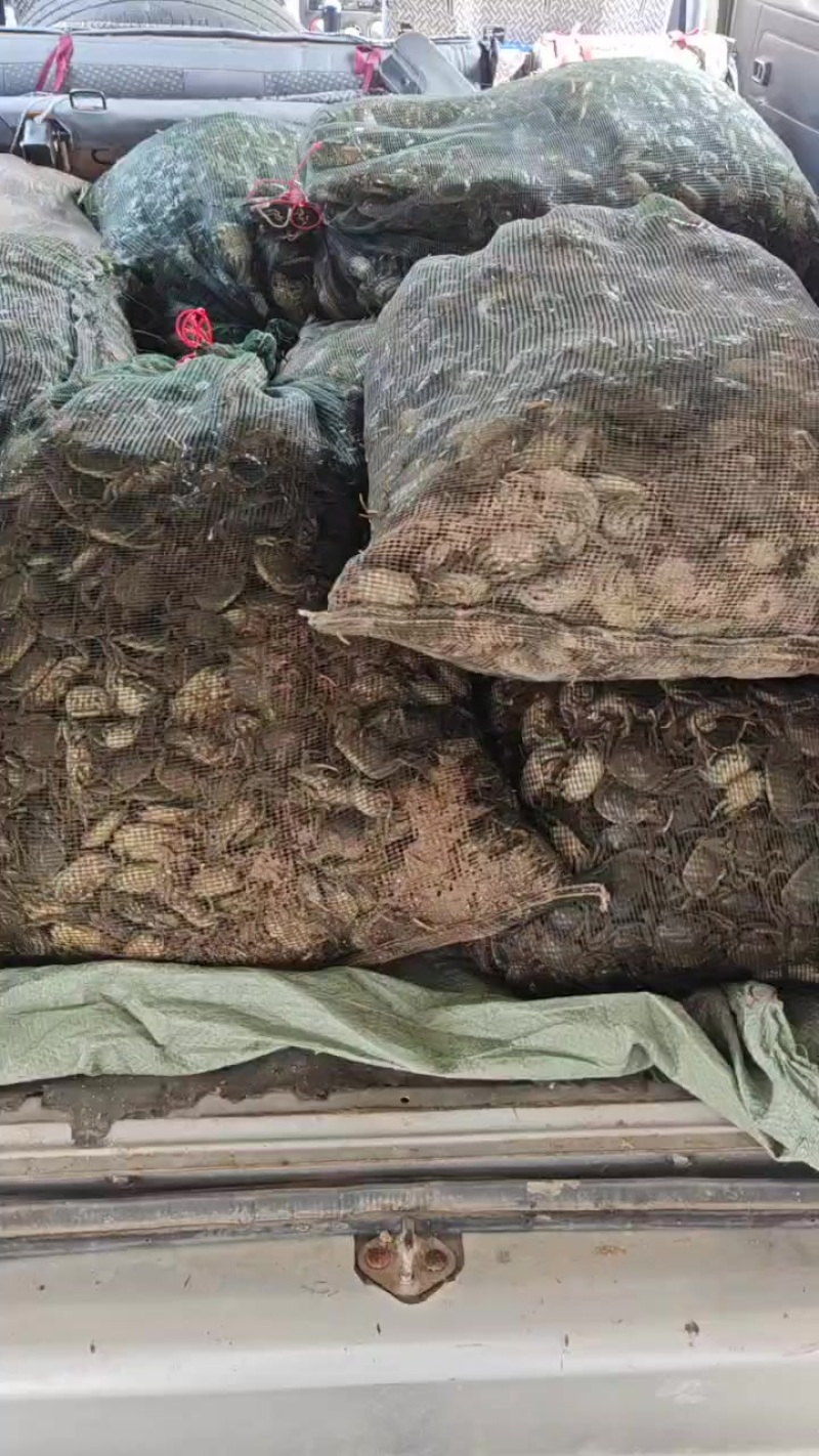 保质保量欢迎各位老板与我联系