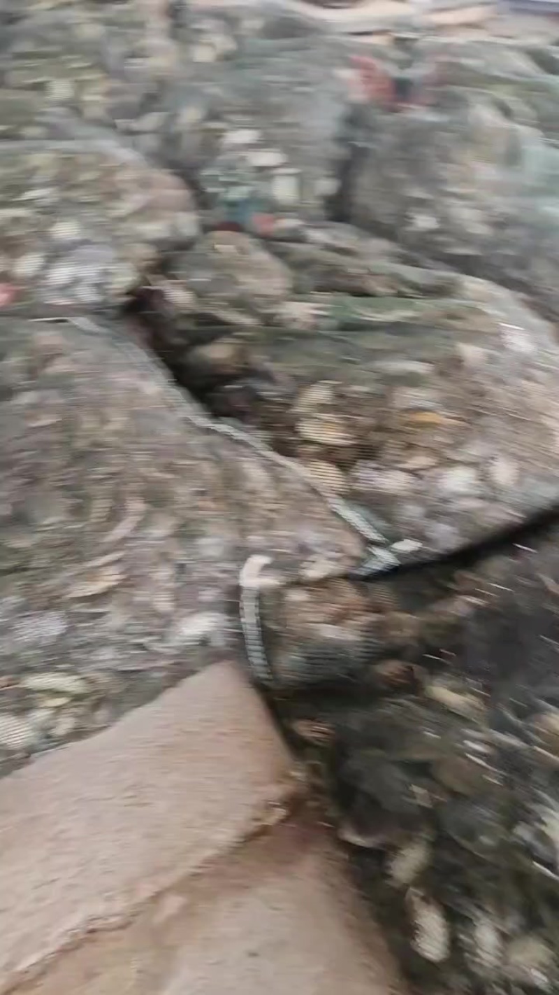 保质保量欢迎各位老板与我联系