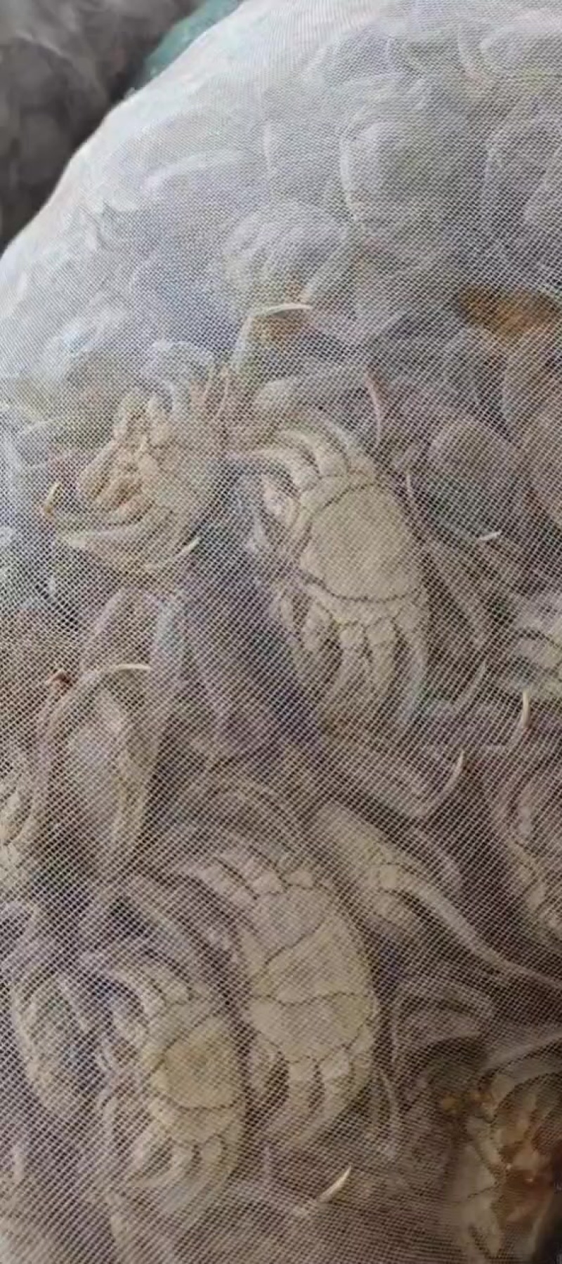 保质保量欢迎各位老板与我联系