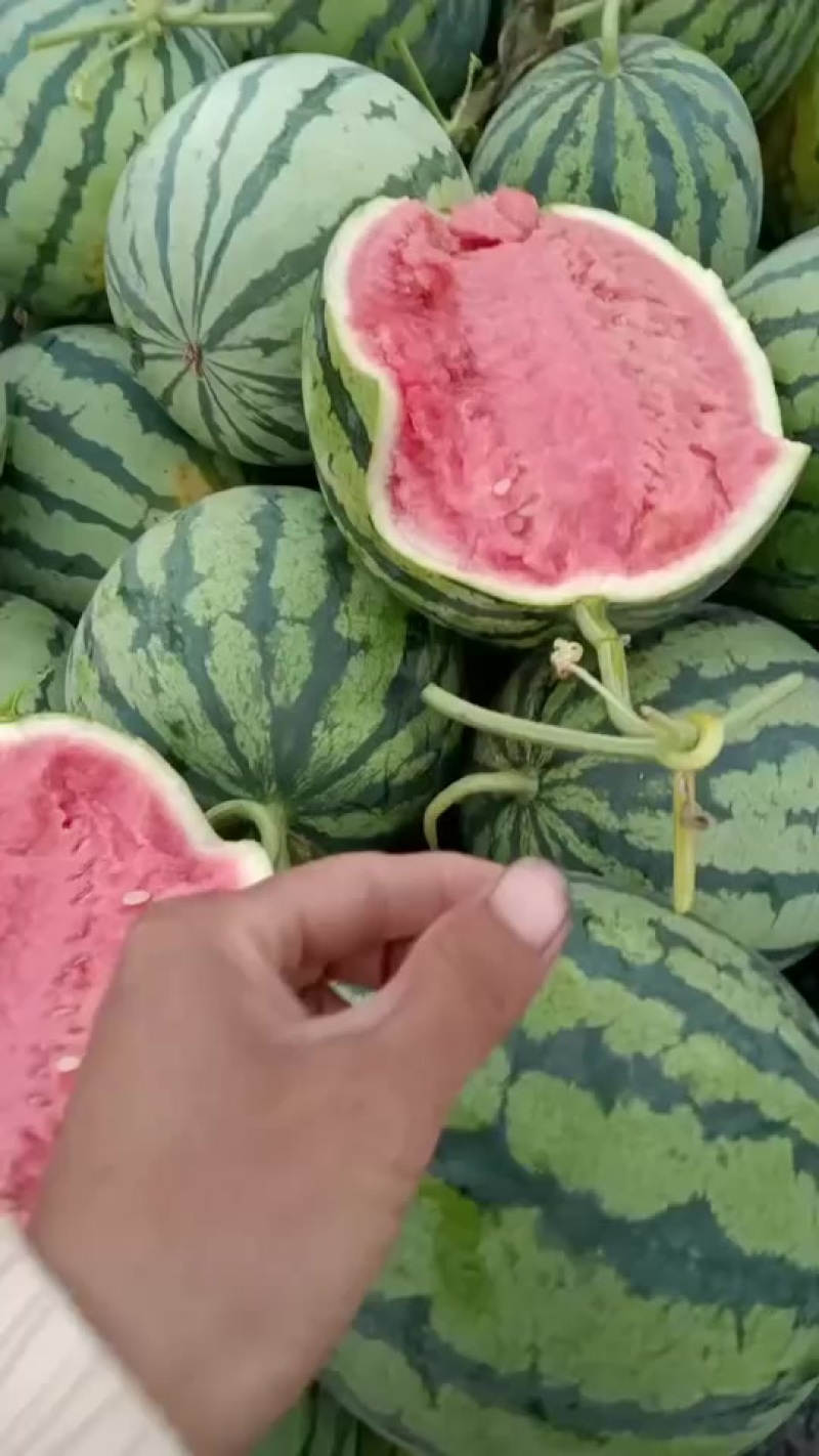 精品美都