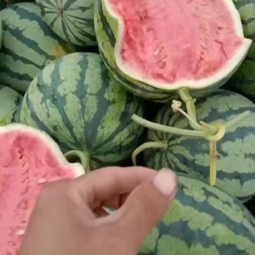 精品美都