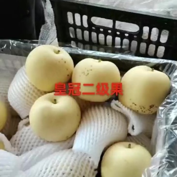皇冠二级果