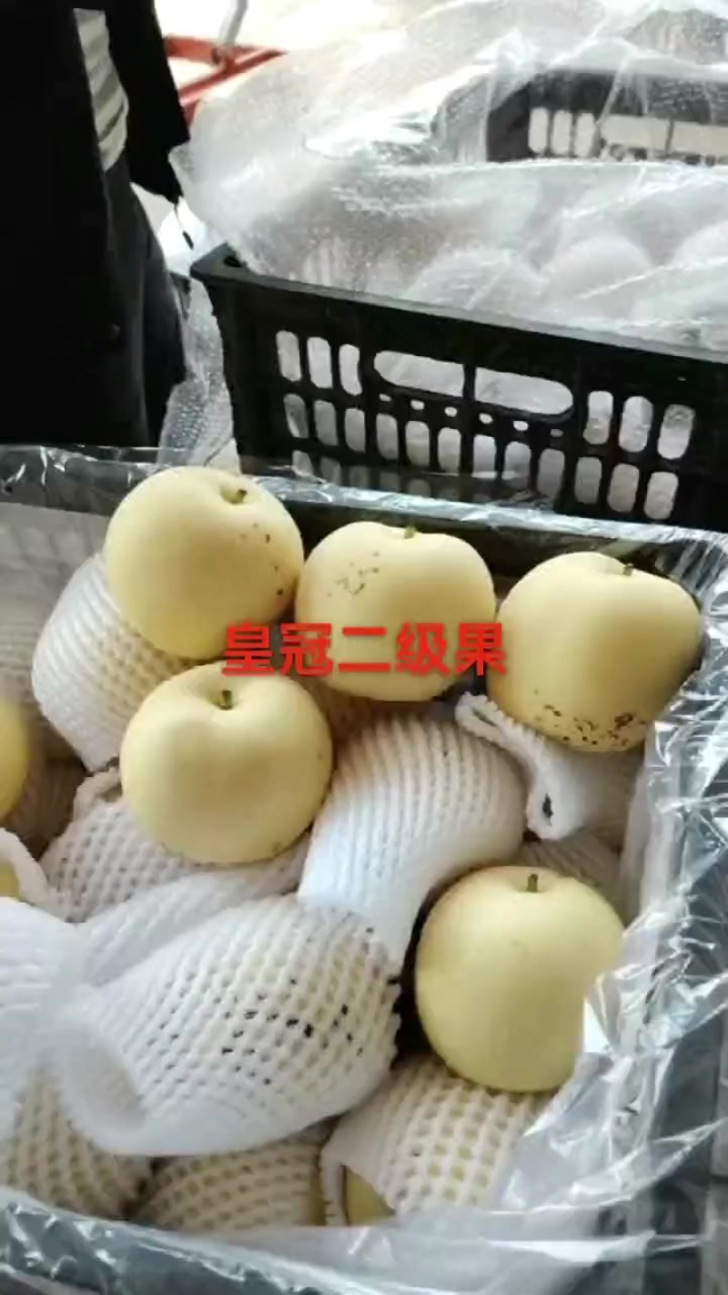 皇冠二级果