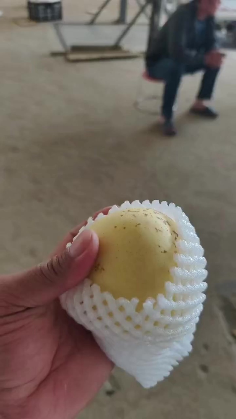 皇冠二级果