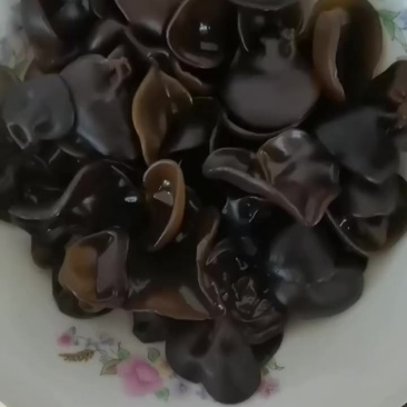 黑木耳碗耳嘎嘎漂亮一件40斤起25.5一斤