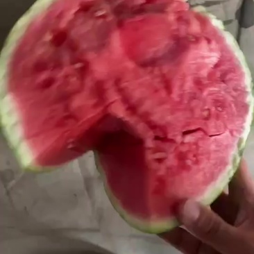 美都麒麟