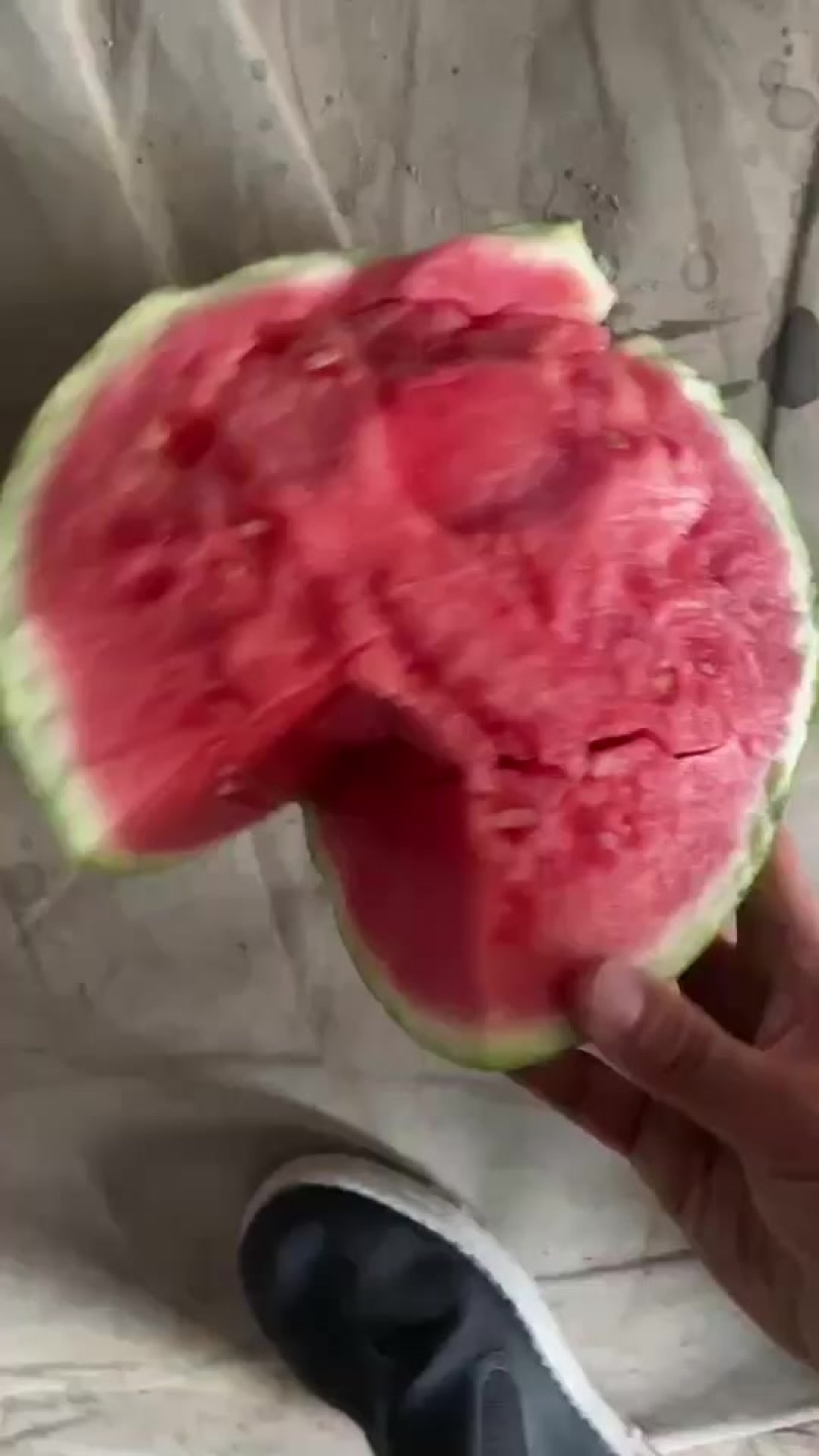 美都麒麟