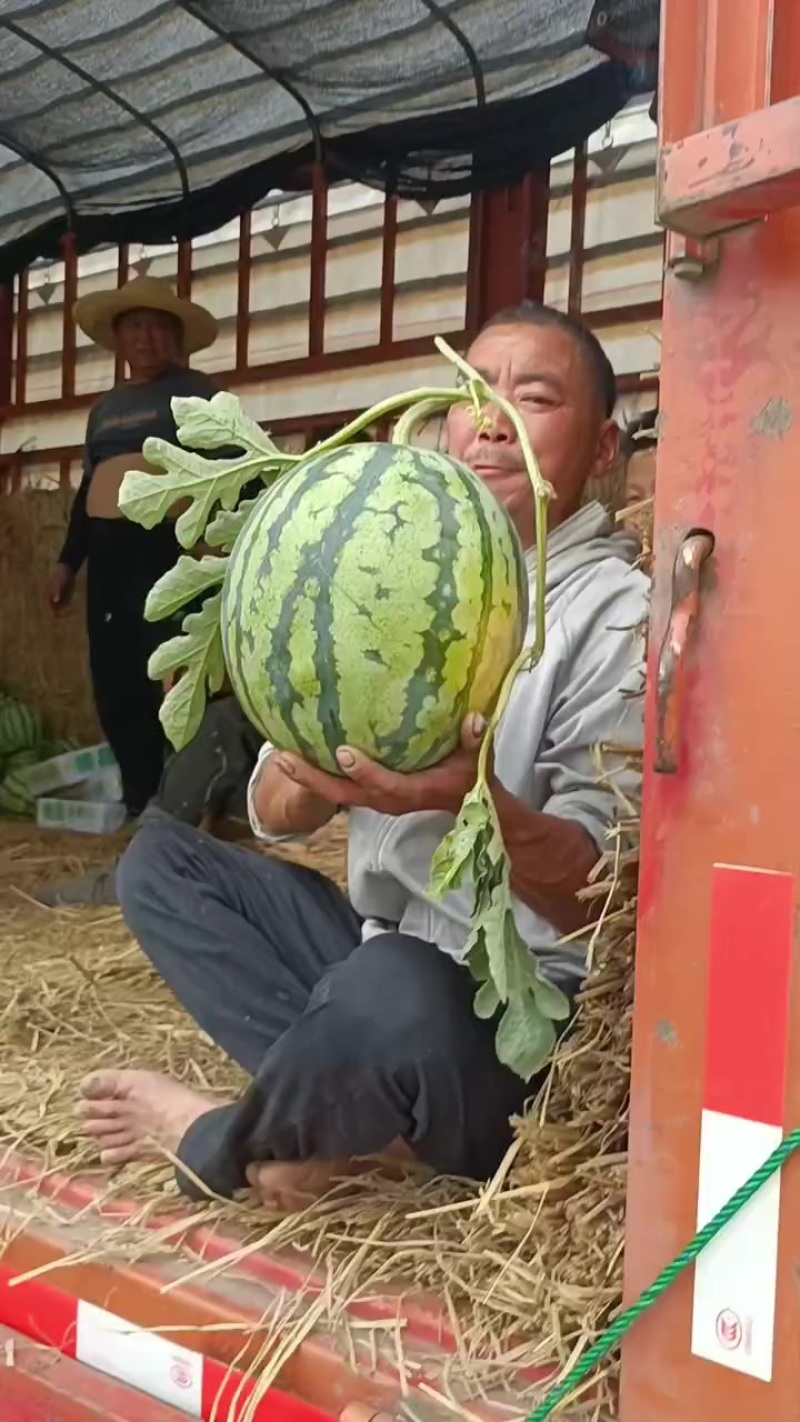 美都无籽