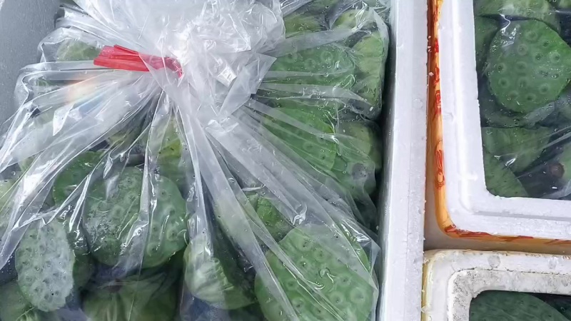 海南水果莲蓬每天都有航班直发全国各地
