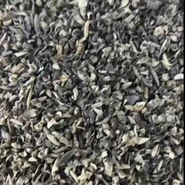 6.5一斤木耳牙子木耳碎