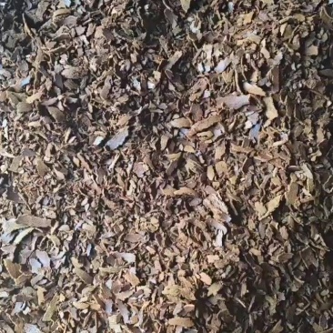 油枯
