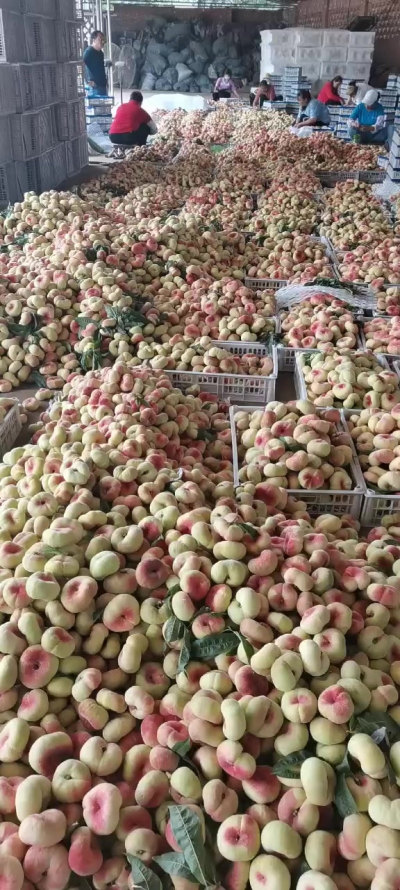 蟠桃