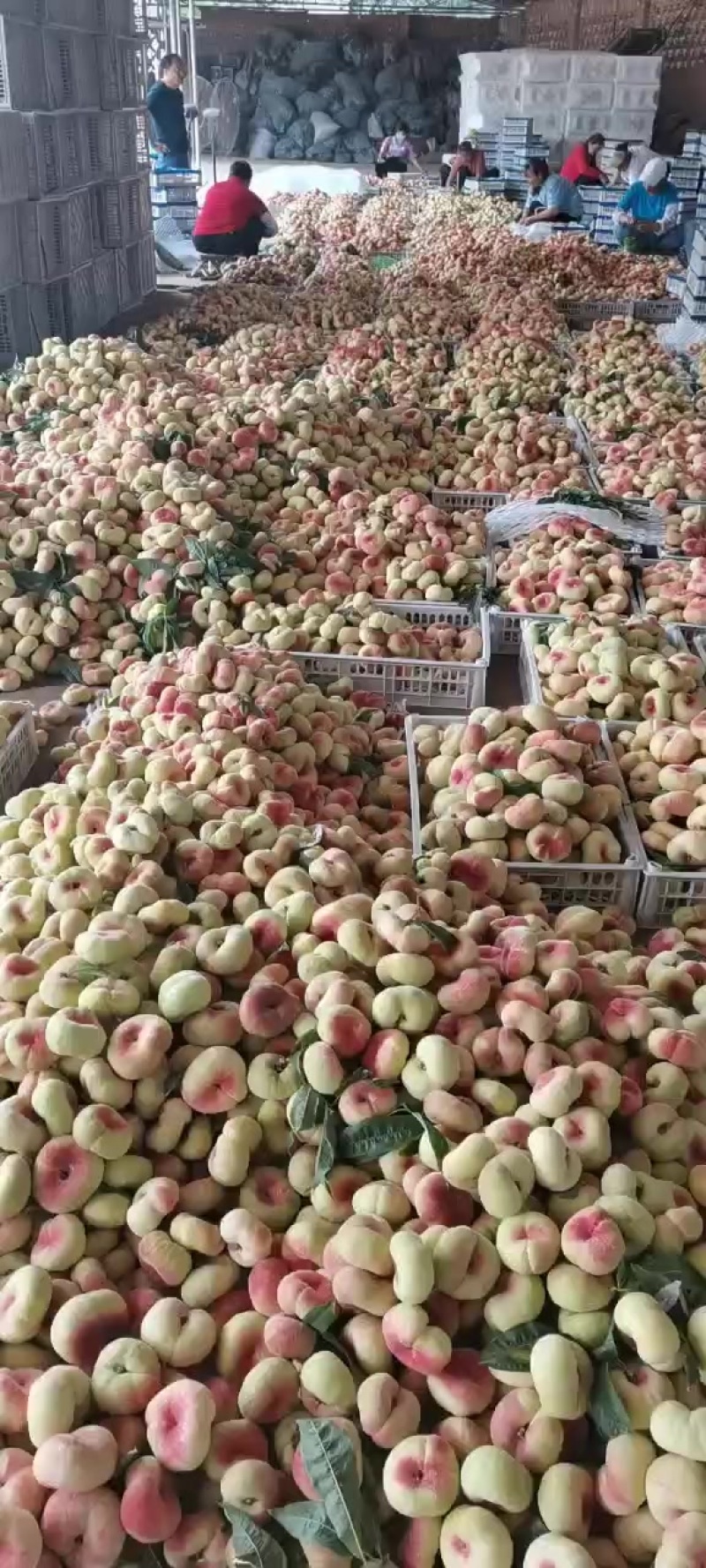 蟠桃