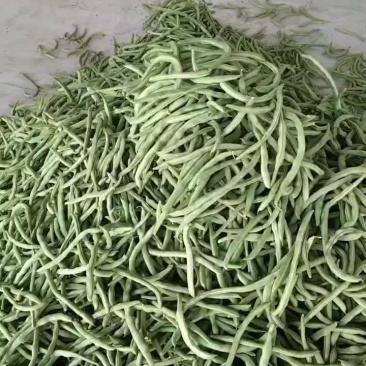 绿肉豆
