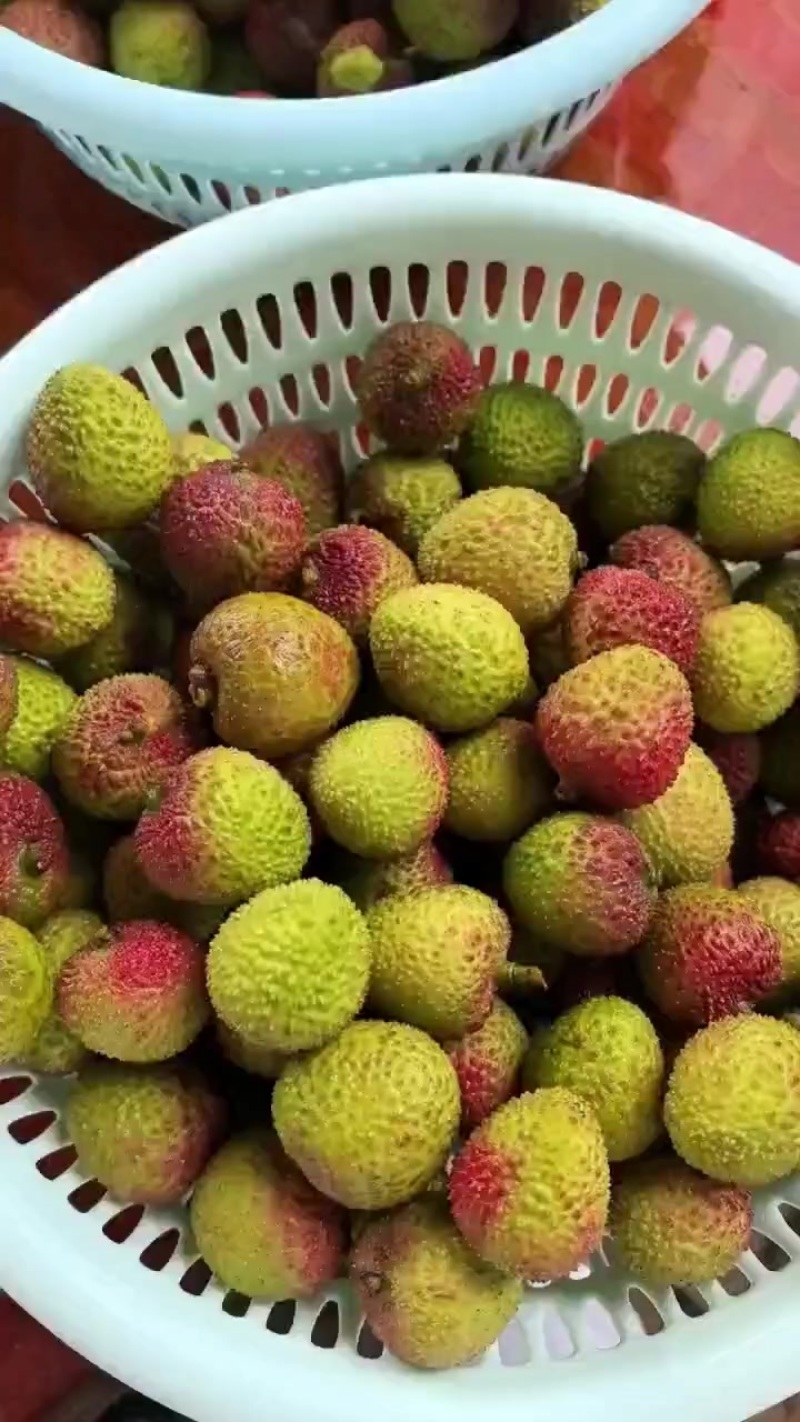 广东妃子笑荔枝商超市场电商专业供应大量供应