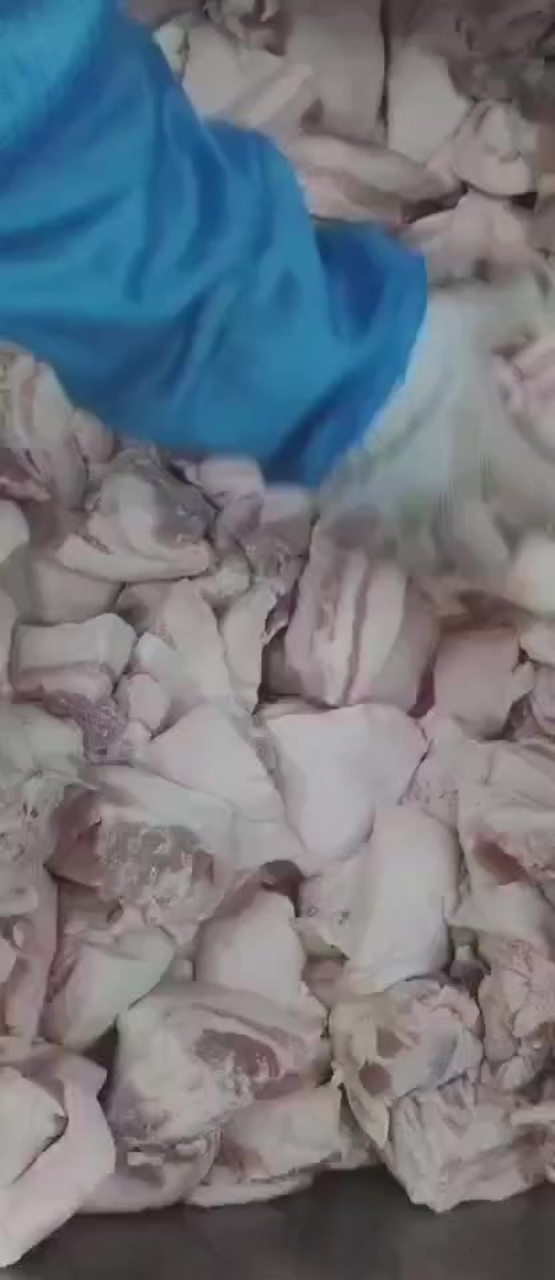 带皮槽头