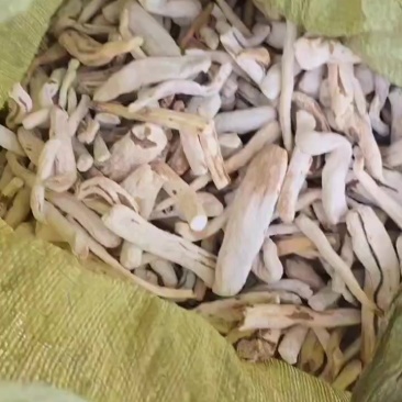 山药下脚料净条
