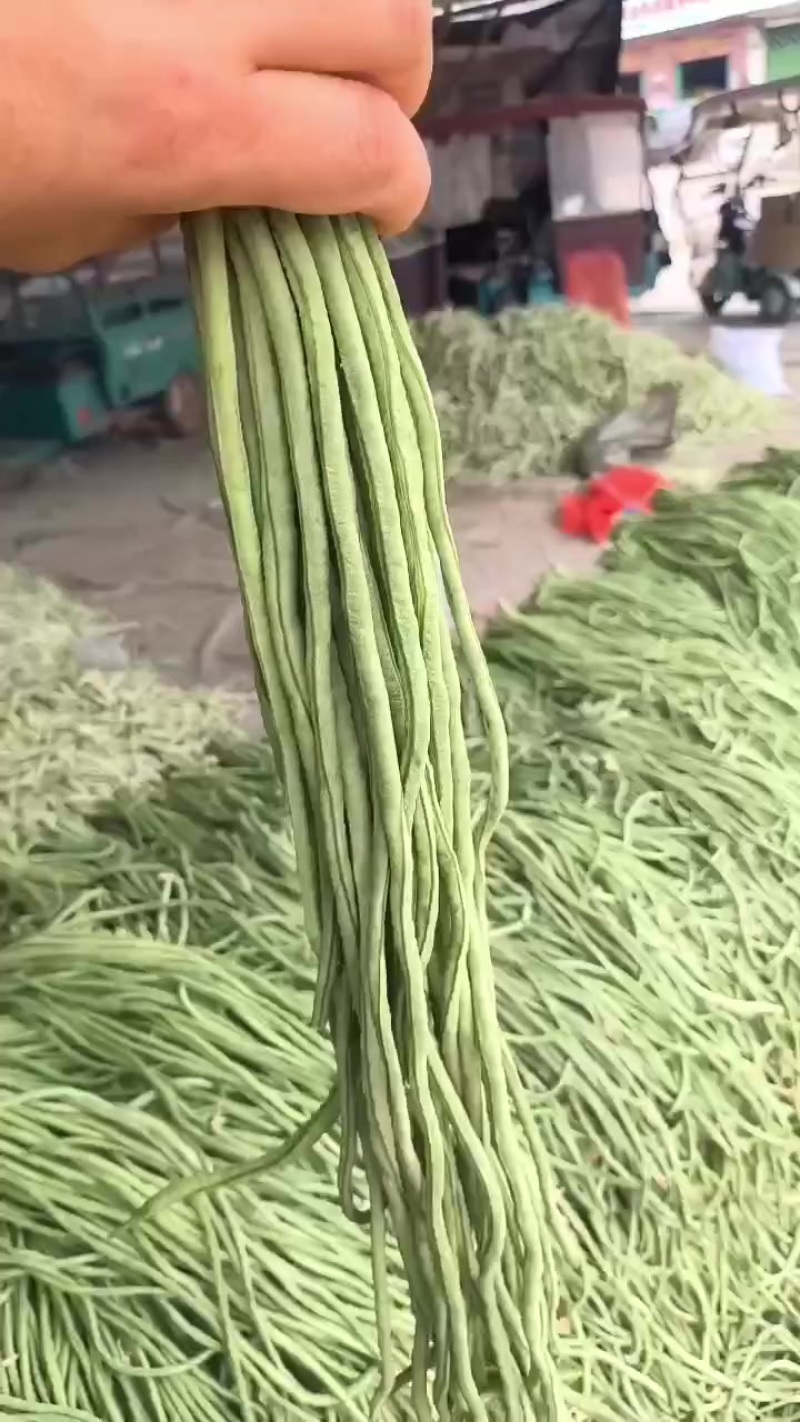 豆角豇豆，大量上市
