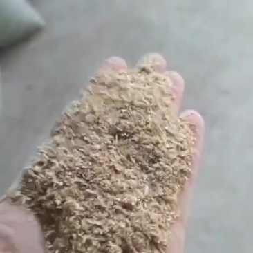 1.8统糠准备装货中！