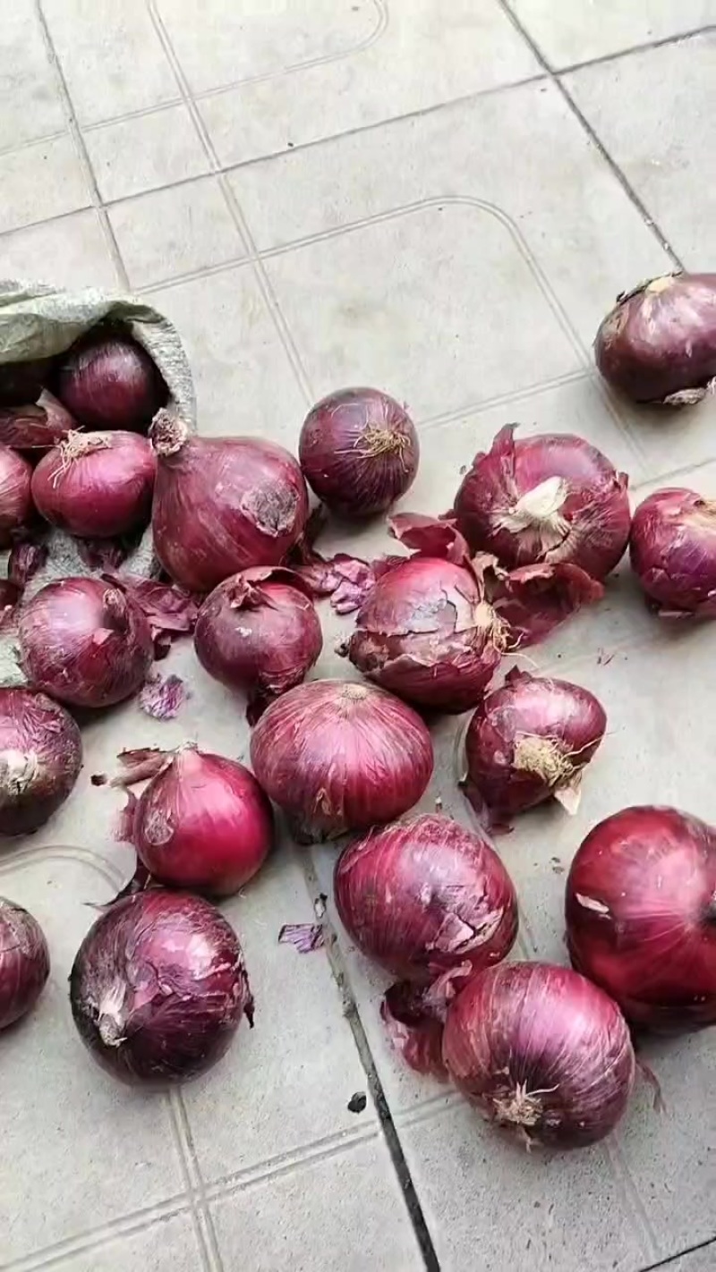 红皮葱头价格便宜，没有多少几亩地有需要的可以联系。？