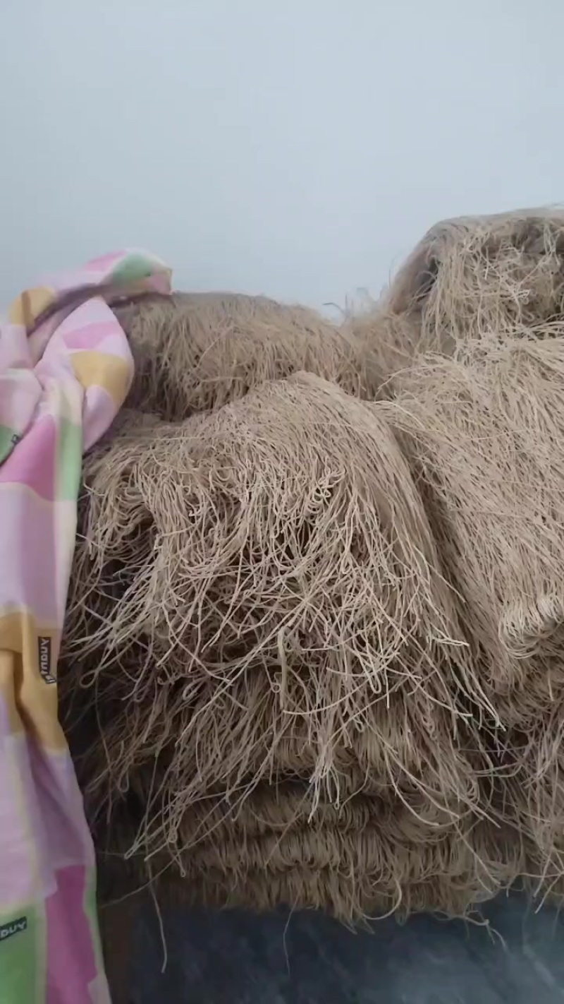 红薯粉丝