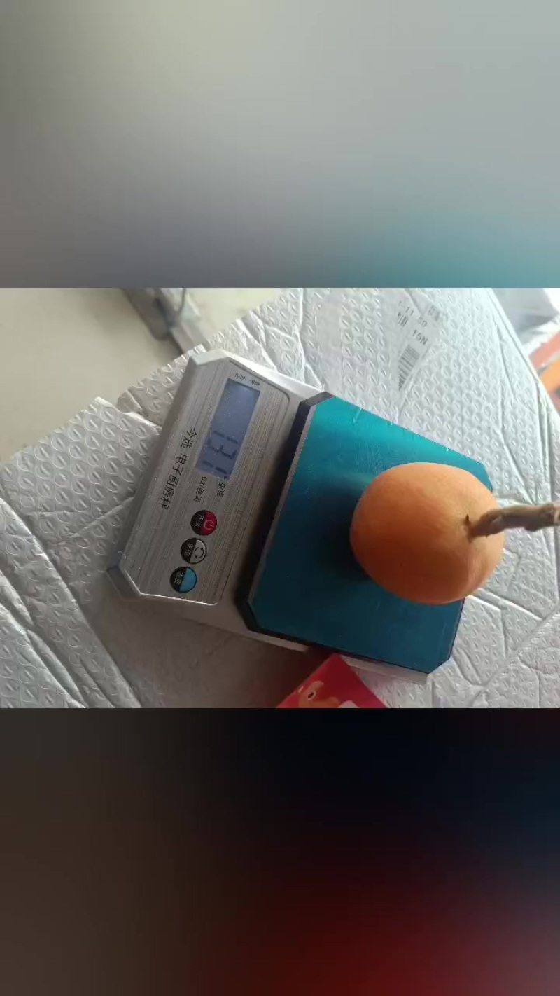 枇杷车厘子急售