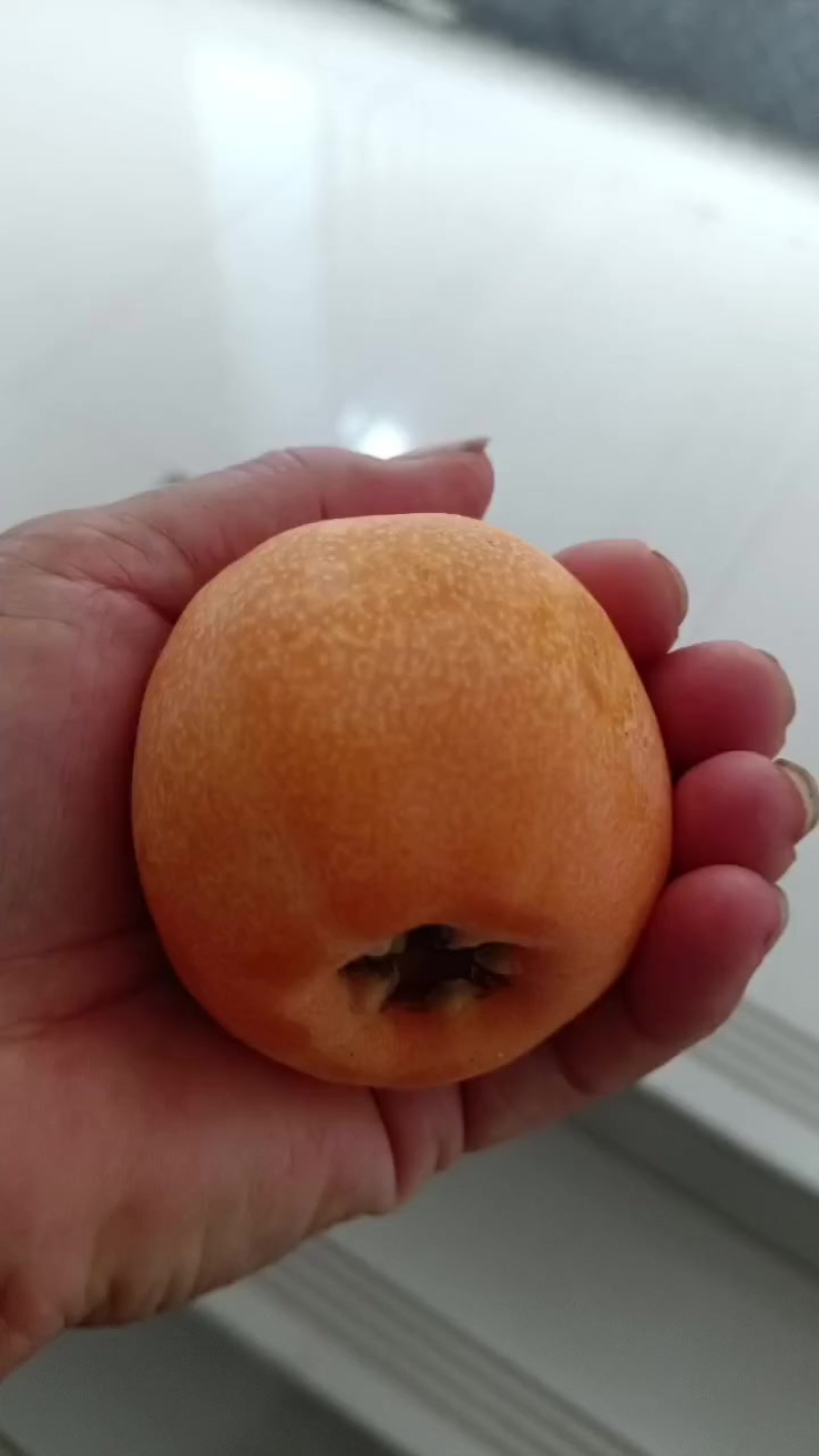 枇杷车厘子急售