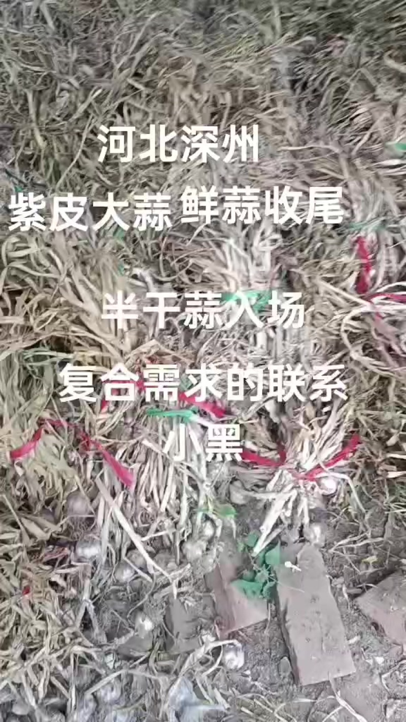 ***********
