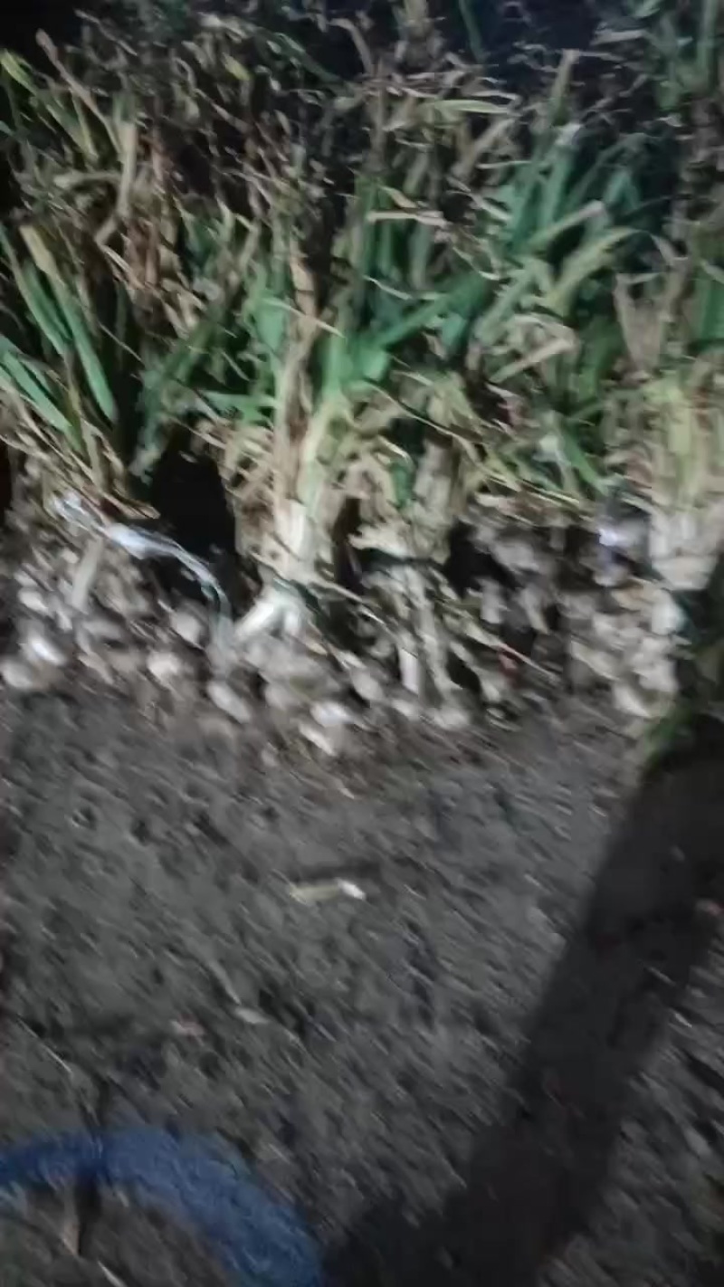 ***********