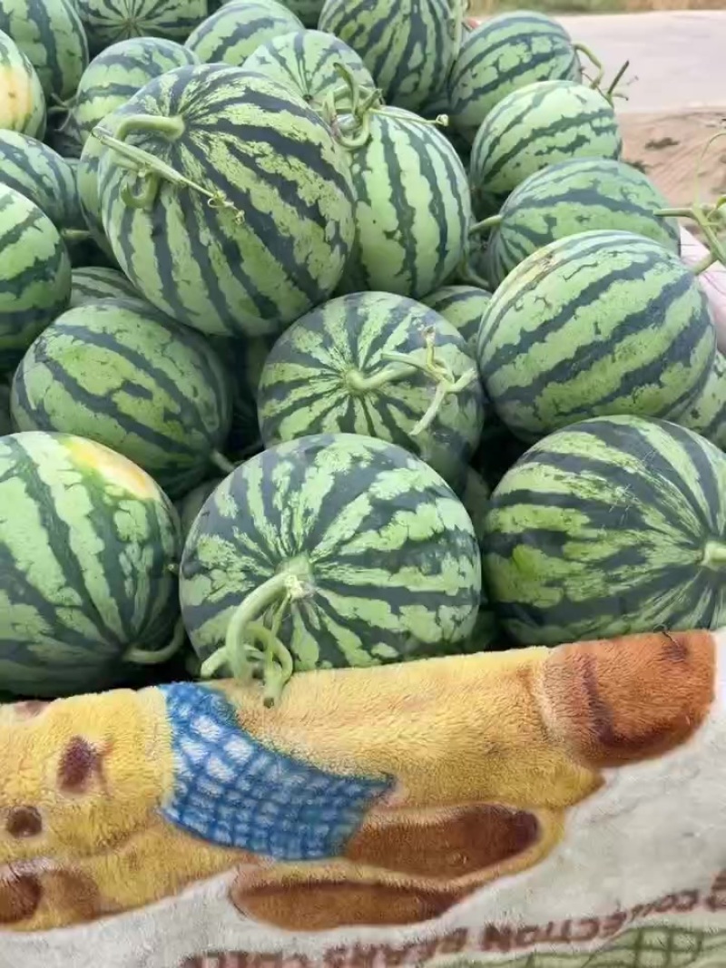 美都