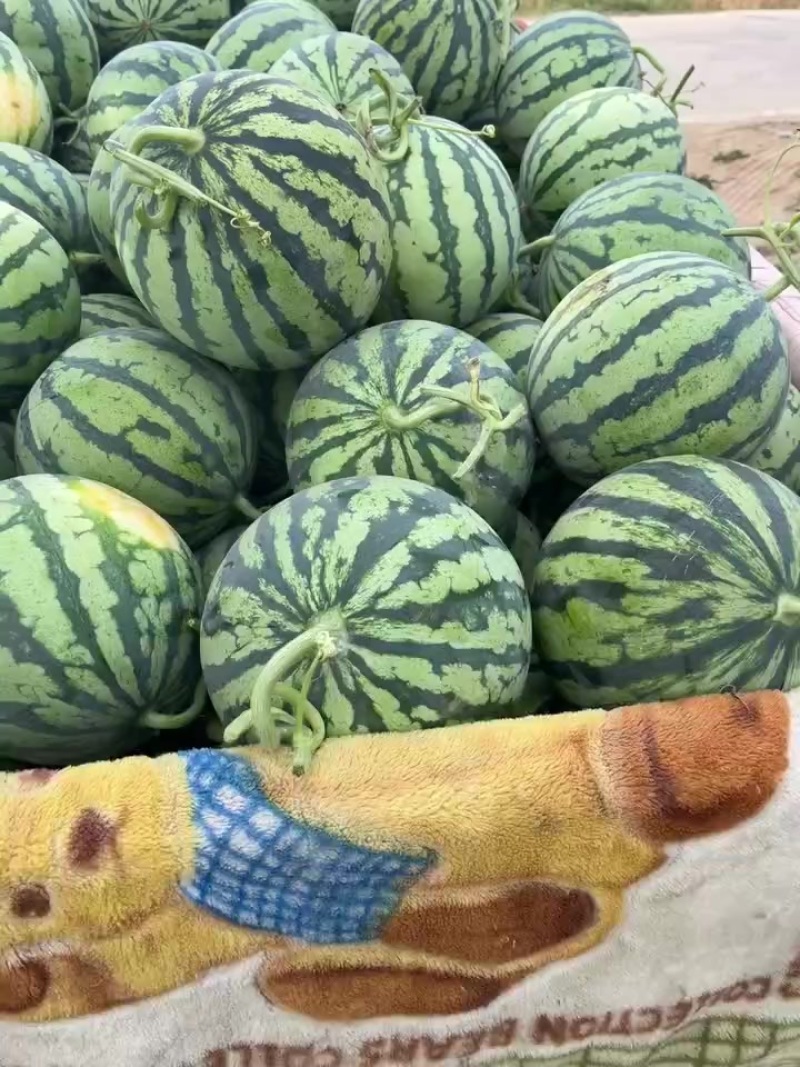 美都
