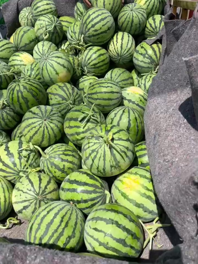 美都