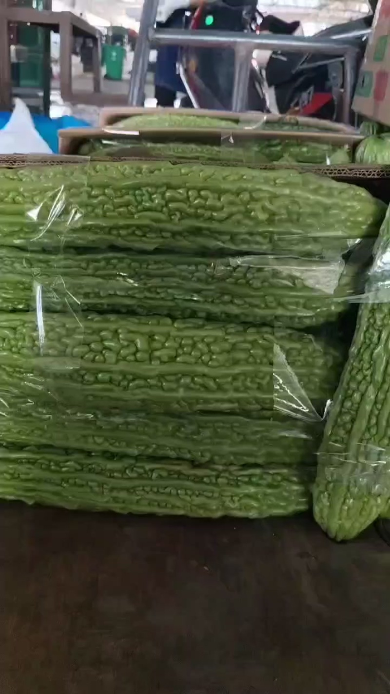 高山蔬菜青苦瓜